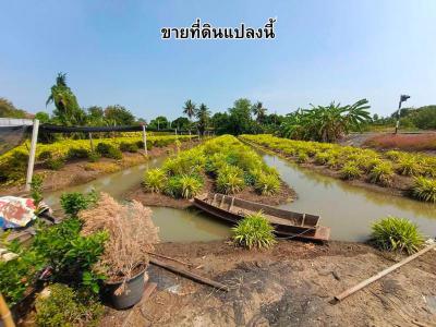 ที่ดิน 20000000 นนทบุรี บางใหญ่ บางม่วง