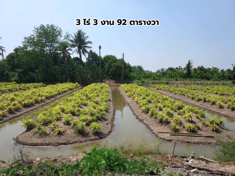 ที่ดิน 20000000 นนทบุรี บางใหญ่ บางม่วง